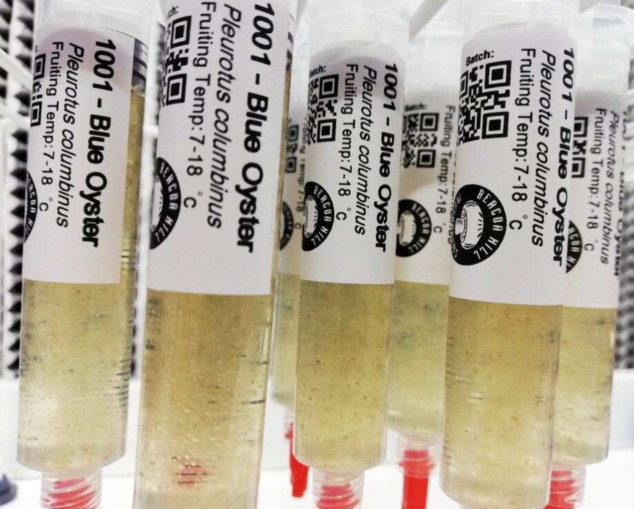 Mushroom liquid culture