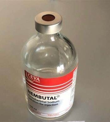 NEMBUTAL FOR SALE|MOST RELIABLE NEMBUTAL SUPPLIER (5% DISCOUNT)