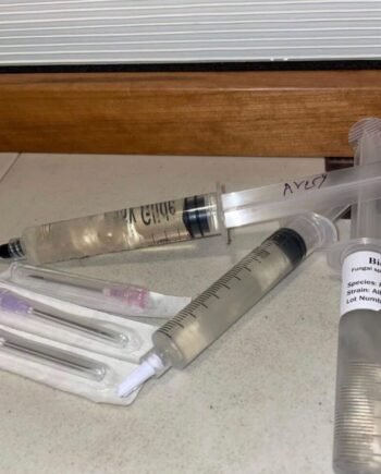 Penis Envy spore vial