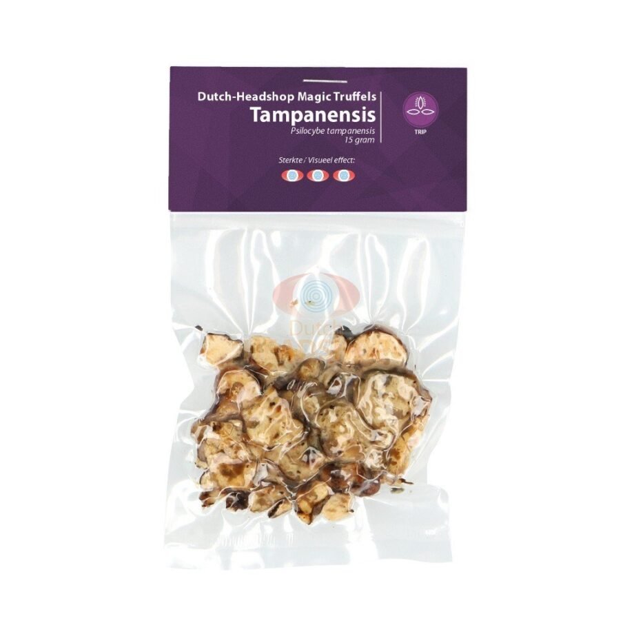Magic truffles Tampanensis