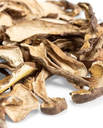 Porcini Mushrooms