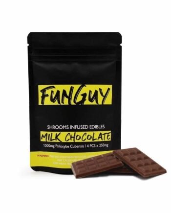FUN GUY CHOCOLATE BAR