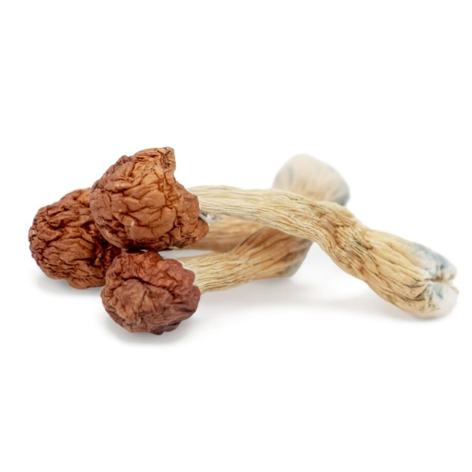 Melmac Mushroom​